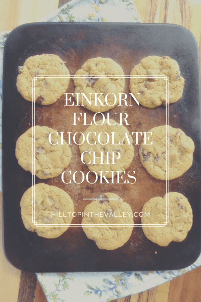 Pinterest Graphic for Einkorn Chocolate Chip Cookies