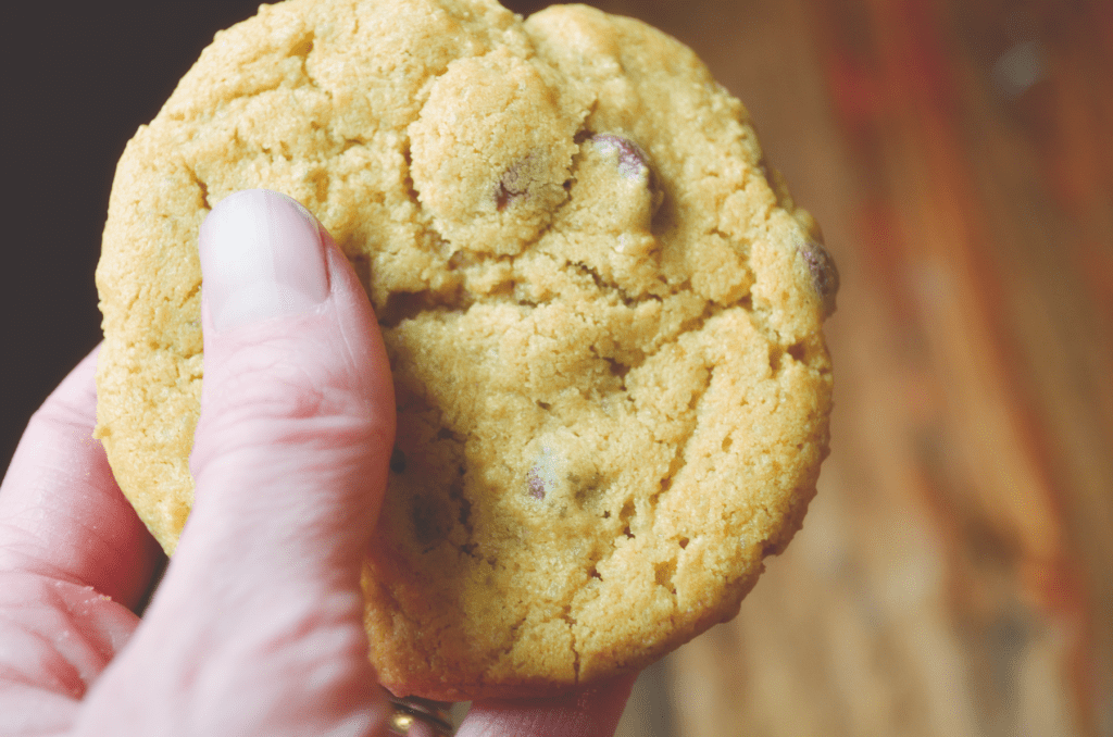 Hand Holding Einkorn Chocolate Chip Cookie