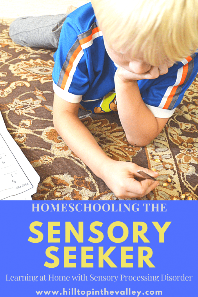 Designing Our Homeschool for a Sensory Seeking Child - Hilltop in