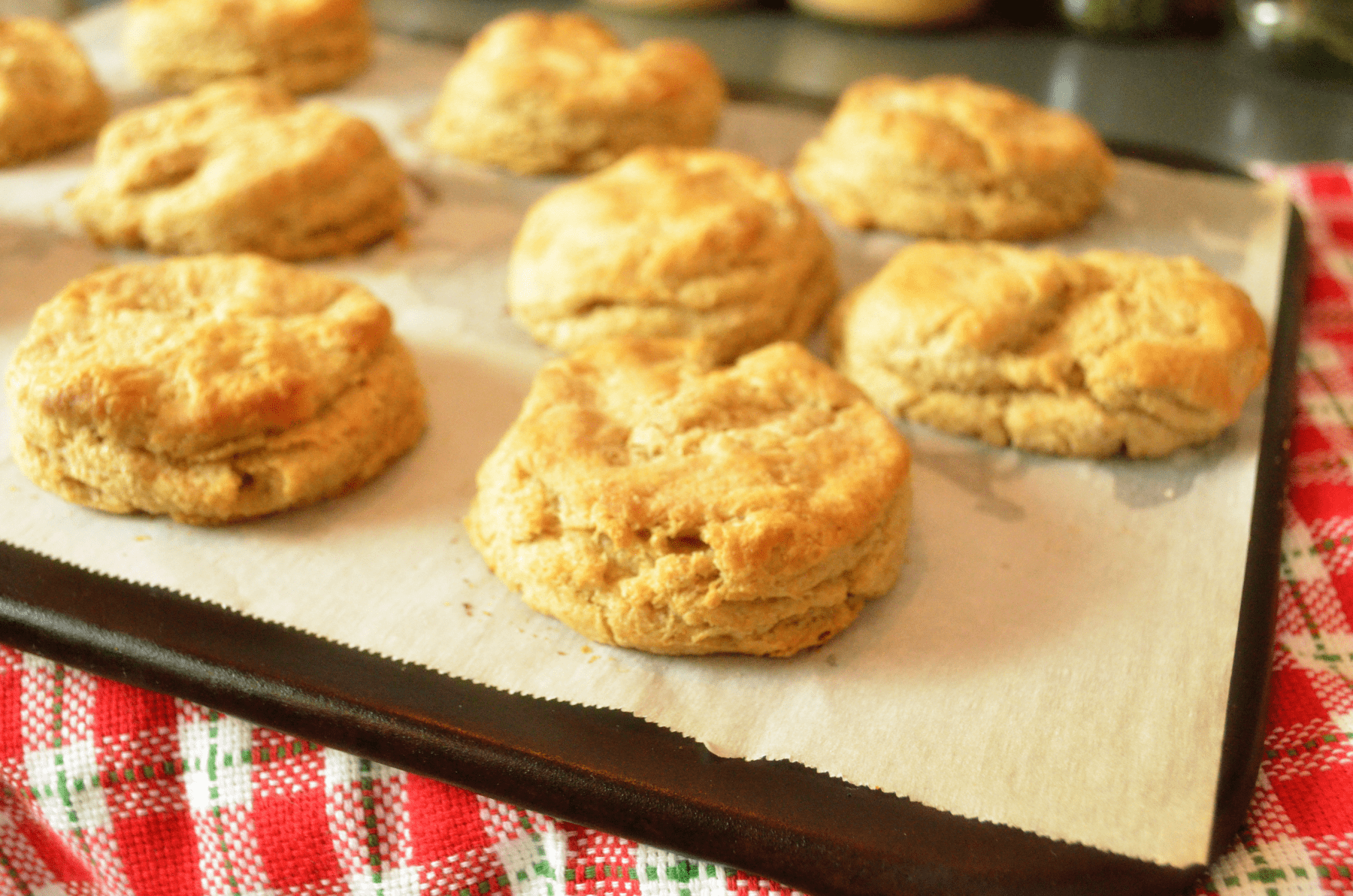 My Favorite Farmhouse Buttermilk Biscuits with Einkorn Hilltop in the