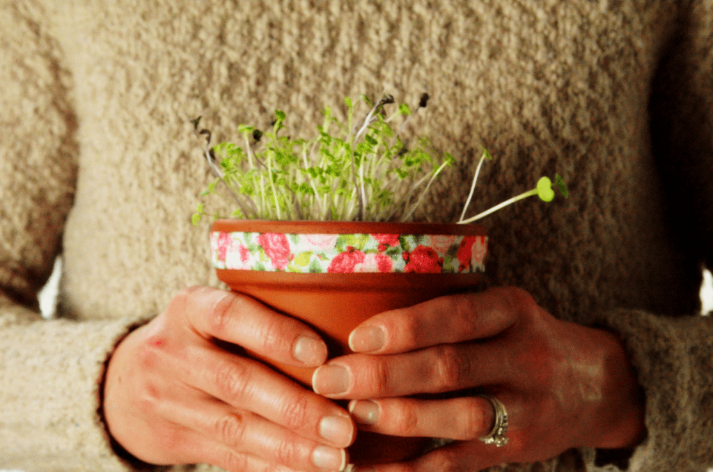 holding decorated pot with sprouts