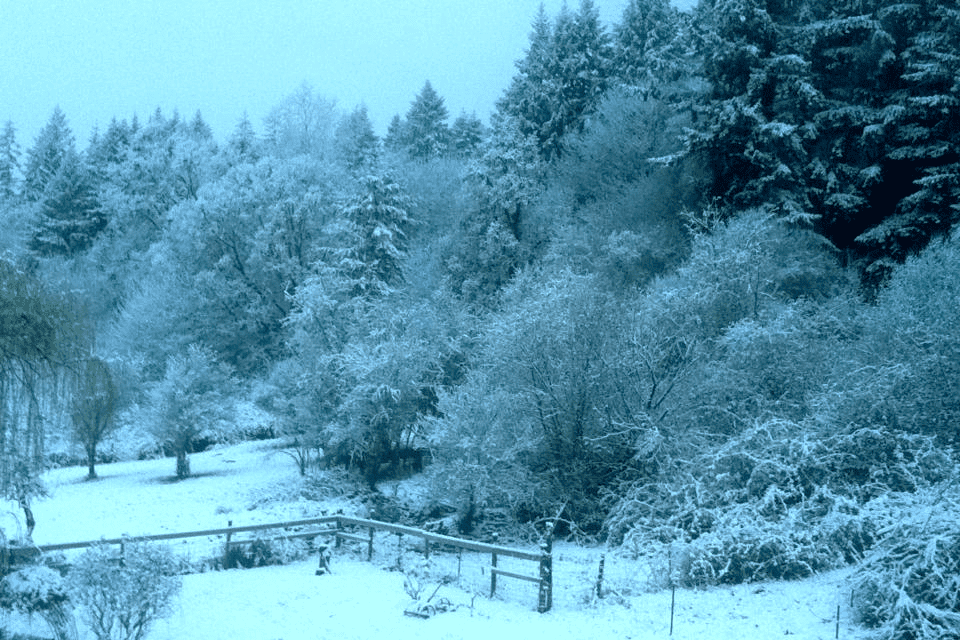 Winter Snow in field
