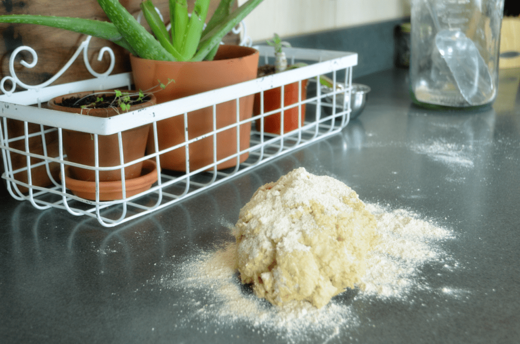 floured dough sits on counter in front of plants