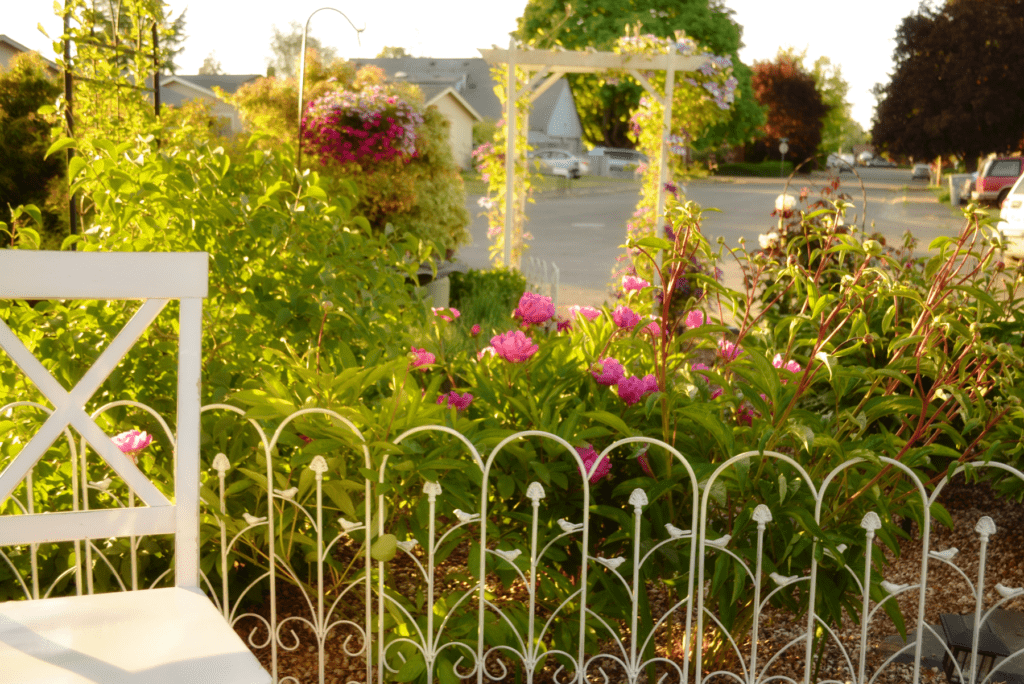 A white chair and white iron fencing line various flowers and plants in an English Garden