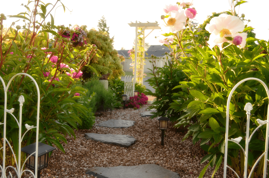 a stone path leads through peonies to a white arbor lined with purple booms