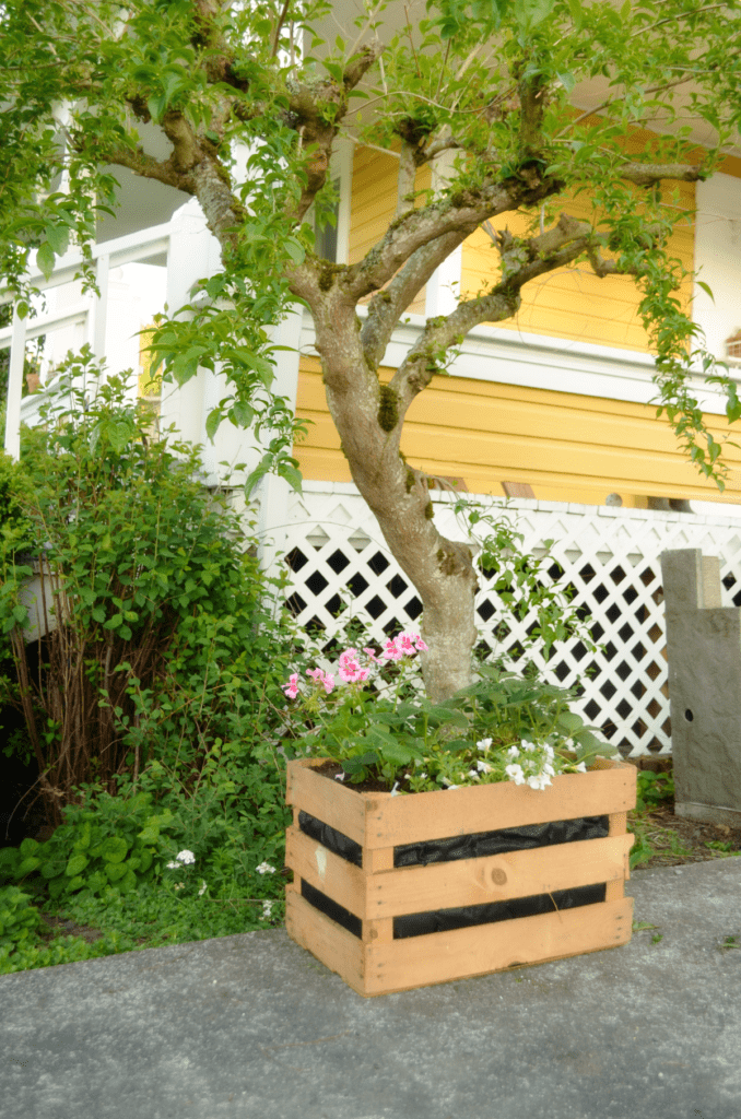Wooden Crate box holding pink and white flowers wits below and small tree with drooping leaves