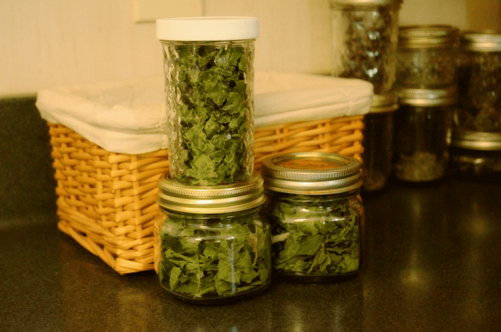 Dried lemon balm in jars are stacked to be put on shelves, Behind them are more herb filled glass jars and a cloth lined basket.