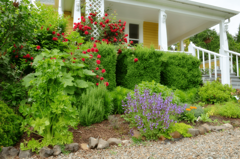 An English style garden blooms in front of an old yellow farmhouse porch.  