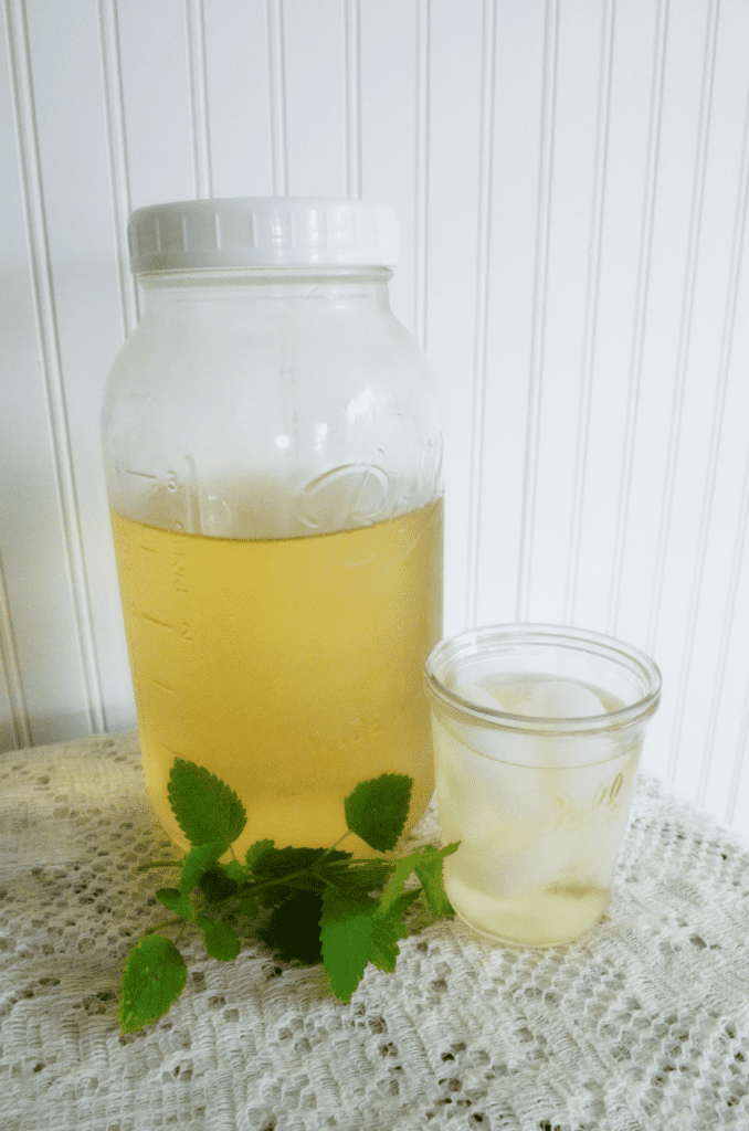 A large Ball canning jar filled with finished iced tea sits on a lace tablecloth next to some lemon balm leaves and a filled glass cup of iced tea.