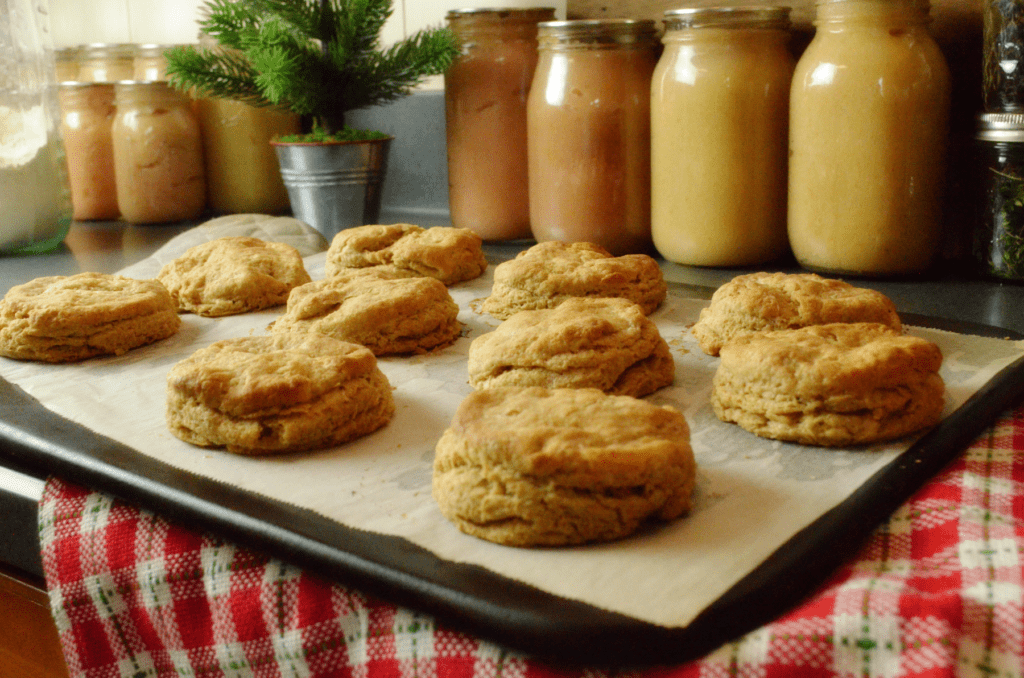Flaky Einkorn Sourdough Buttermilk Biscuits line a baking stone with applesauce jars lined up in the background