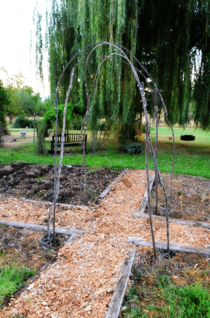 two paths in a garden cross while a branch trellis rises overhead their intersection