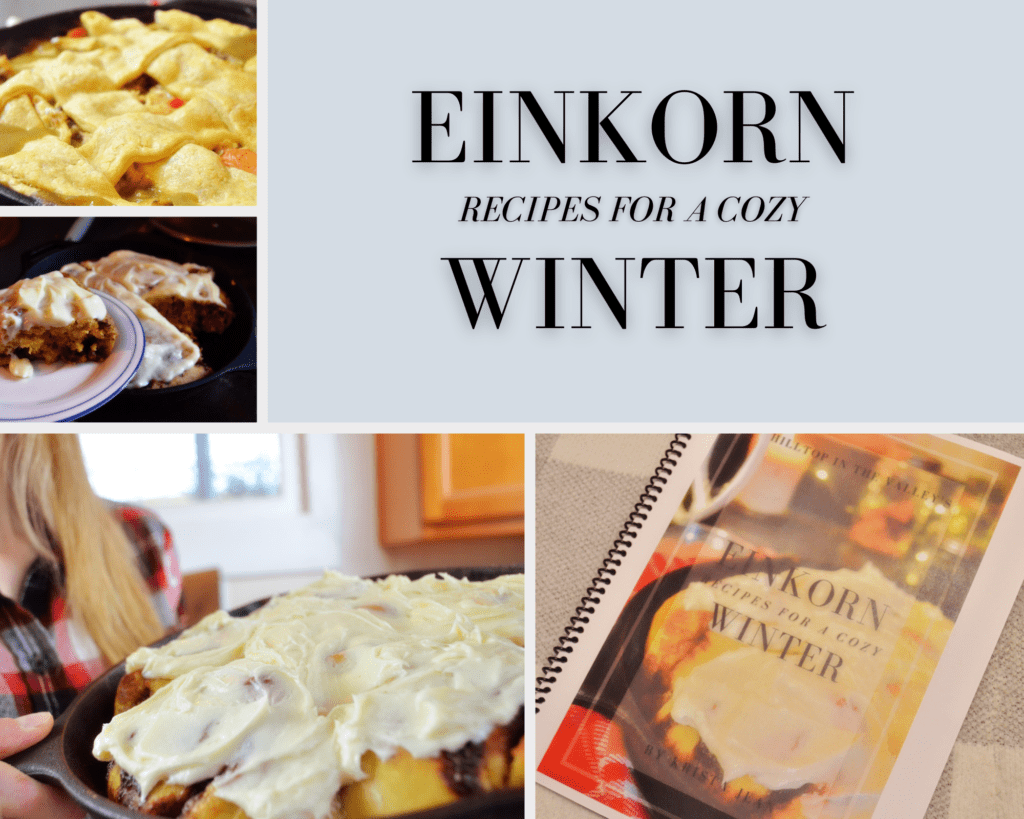 Several pictures of different comfort foods surround the words "Einkorn Recipes For a Cozy Winter"