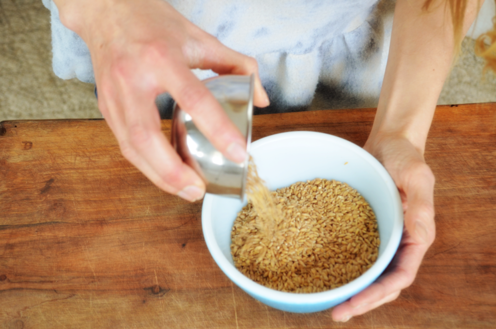 einkorn grain is poured into a bowl before being ground into whole grain einkorn flour.