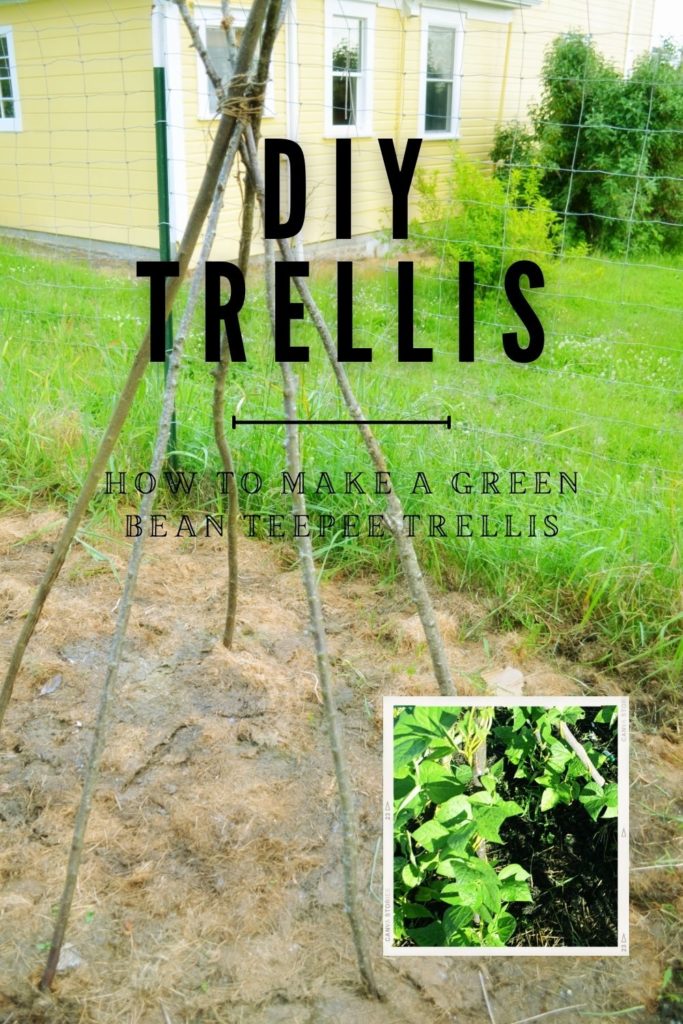 How to Make an Easy DIY Trellis for Potted Plants - Hilltop in the