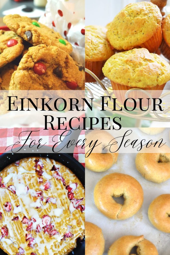 Pin for Einkorn flour recipes featuring christmas m & m cookies, lemon poppyseed muffins, strawberry scones and whole wheat sourdough bagels