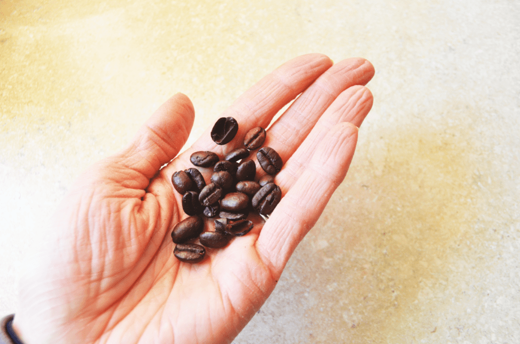 A hand holds dark shiny roasted coffee beans.