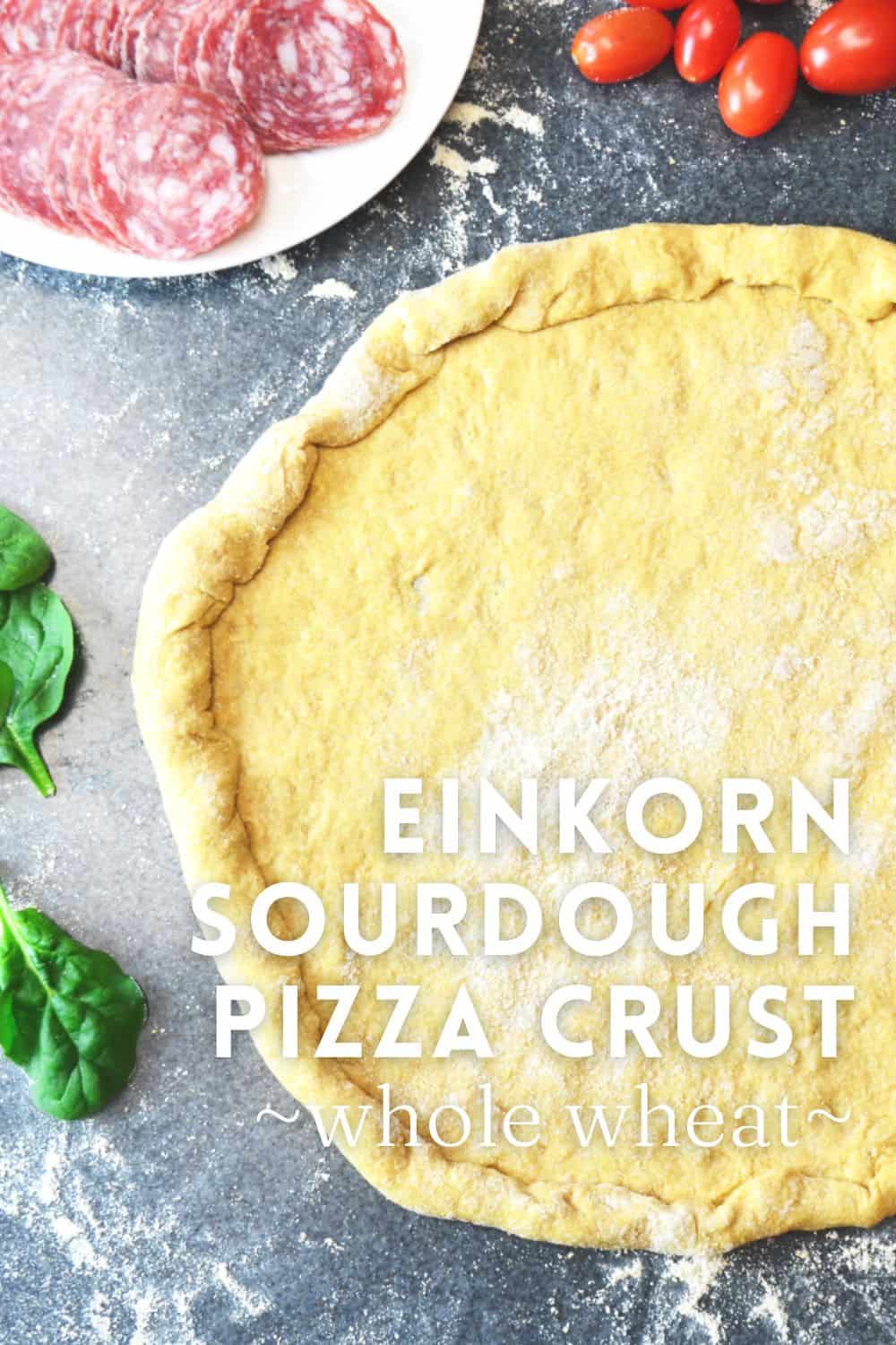 Whole Wheat Einkorn Sourdough Pizza Dough Recipe Hilltop in the Valley