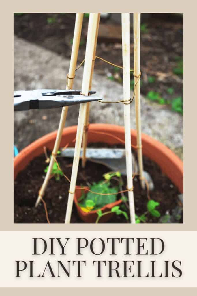 How to Make an Easy DIY Trellis for Potted Plants - Hilltop in the