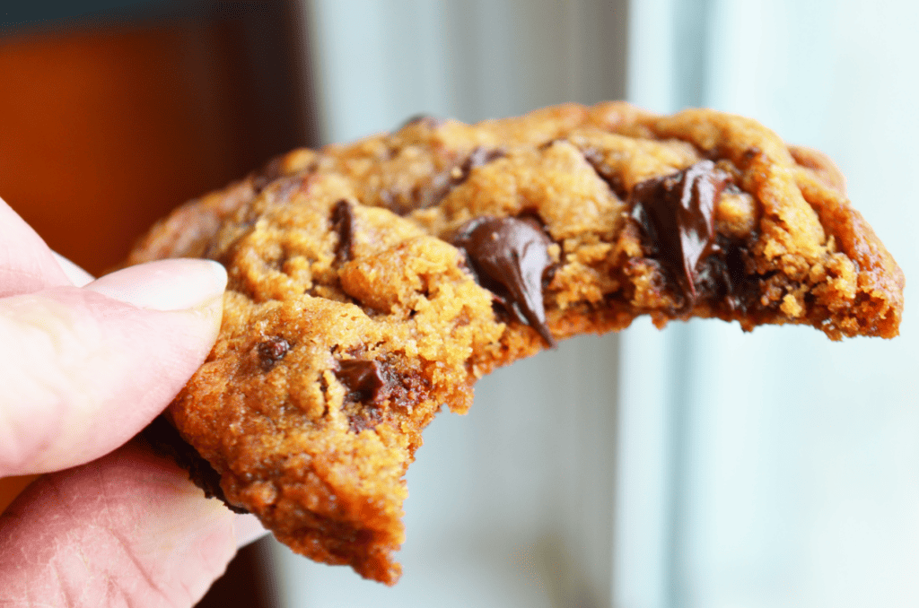 A close up of a goey whole wheat einkorn chocolate chip cookie with half melted chocolate chips oozing out of a bitten crescent from the cookie.