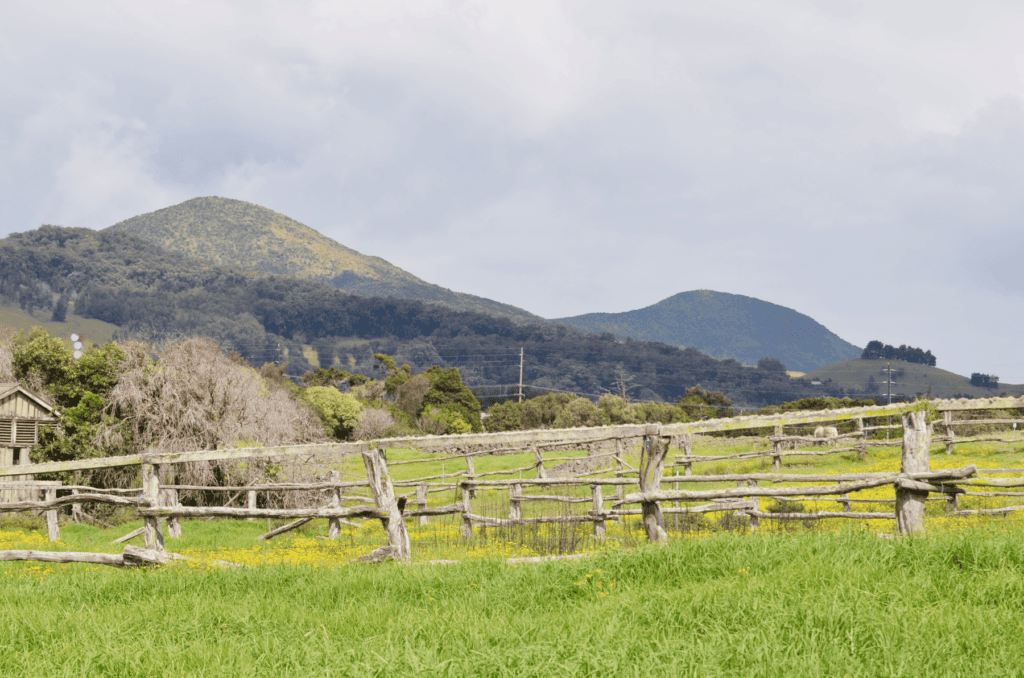 A green landscape shows high mountains filled with tropical trees and green valley grasses