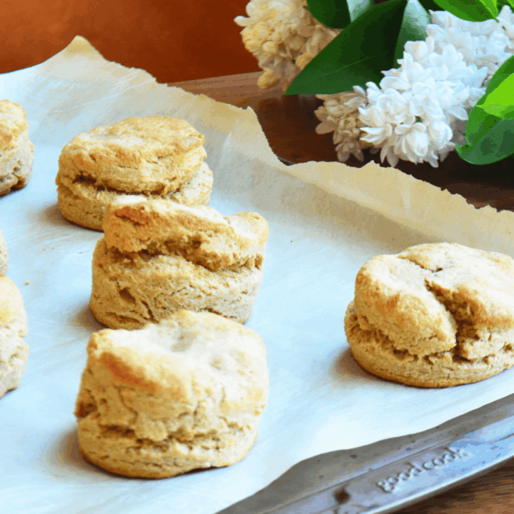 Flakey Whole Wheat Einkorn Biscuits on a Baking Sheet