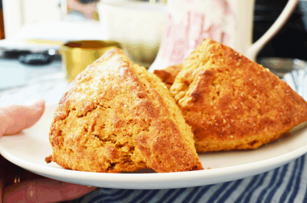 A hand holds a plate of fresh whole wheat einkorn scones with sparkling sugar granules on their crispy tops.