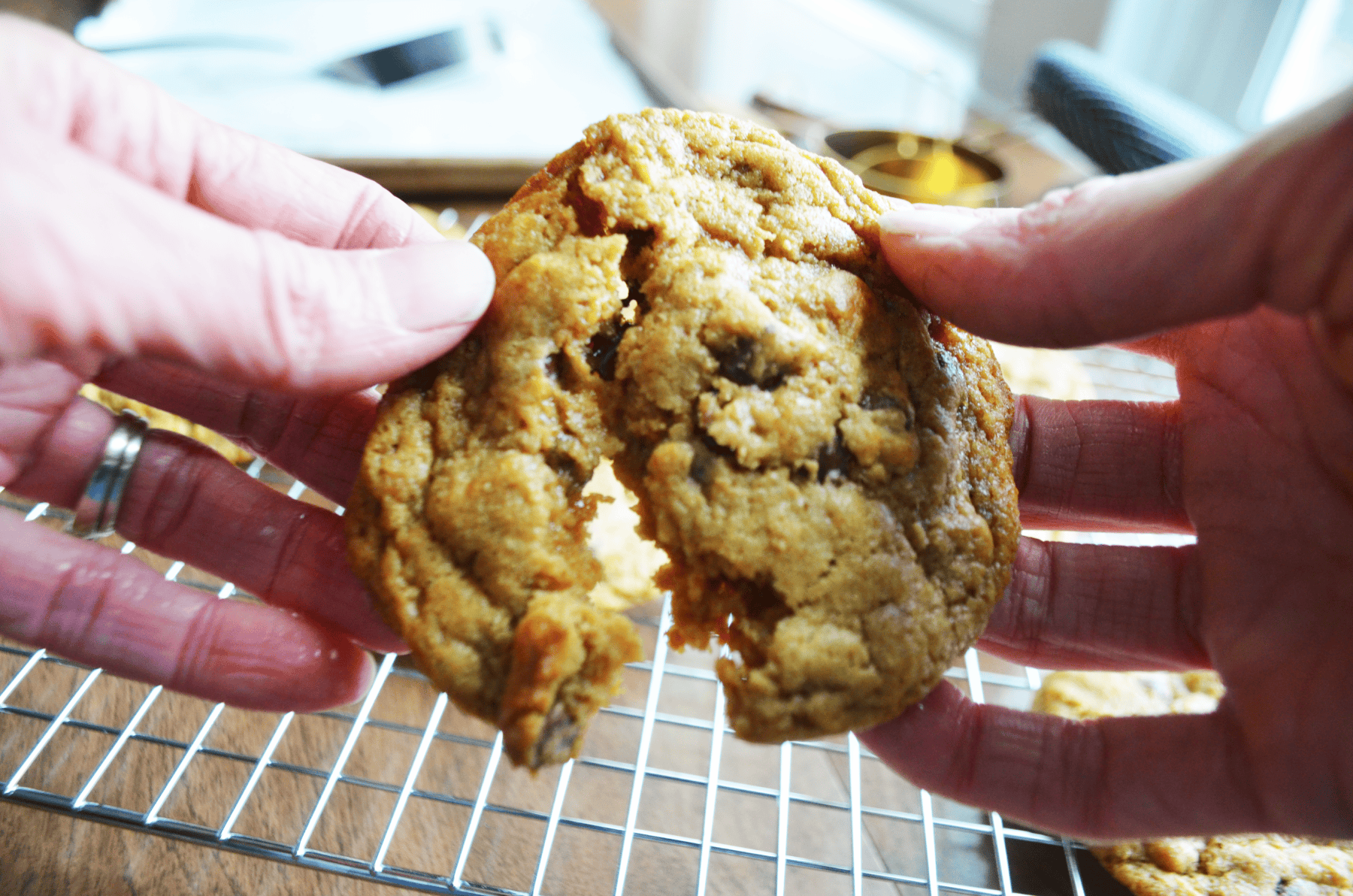 A sourdough chocolate chip cookie with einkorn flour is broken to reveal a soft center