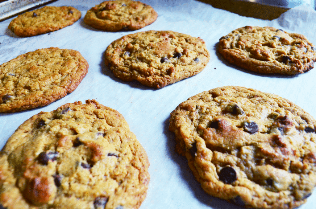 a tray holds golden brown sourdough discard chocolate chip cookies made with einkorn flour.
