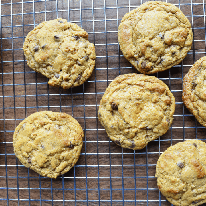 looking down on perfectly baked sourdough chocolate ship cookies made with einkorn flour
