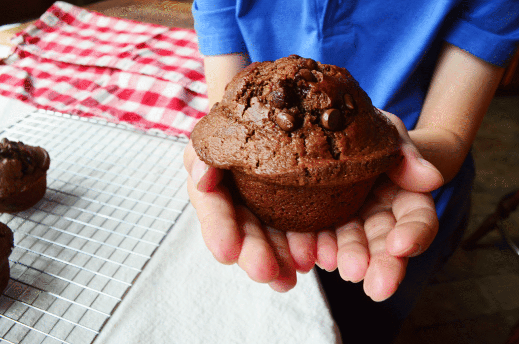 Baked Einkorn chocolate muffin in hands 