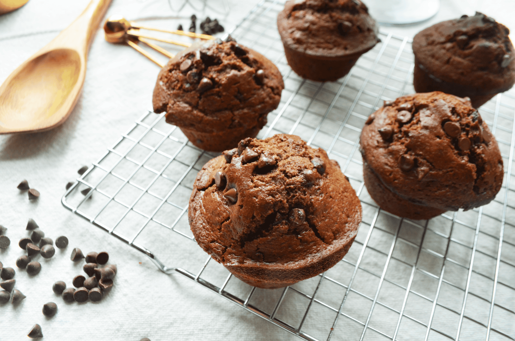 Double Chocolate Sourdough Muffins made with einkorn sit of a metal cooling rack near extra chocolate chips, with sun light streaming in from a nearby window