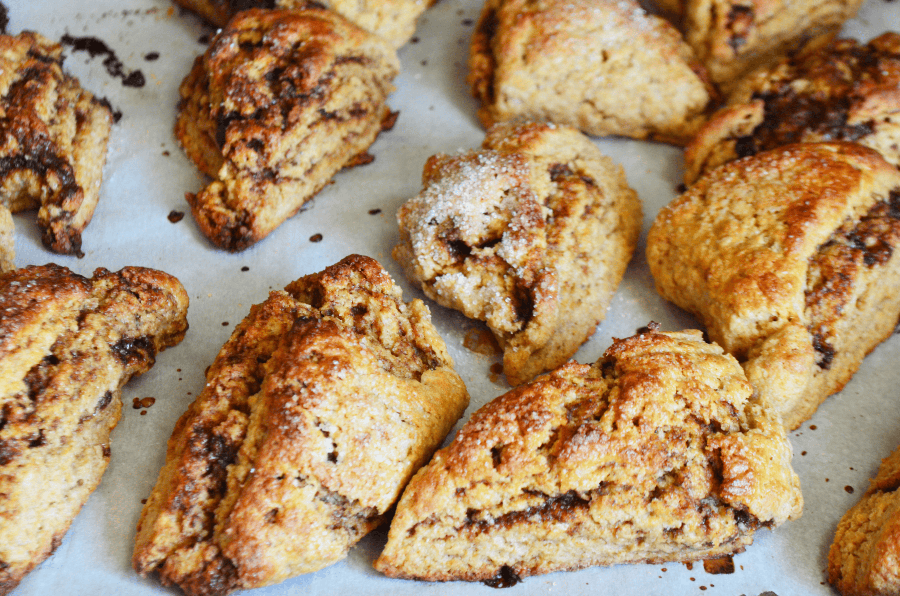 Group of Cinnamon Scones made with Einkorn Flour