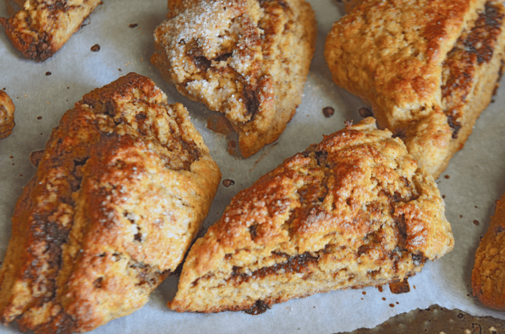 Cinnamon Scones made with einkorn flour